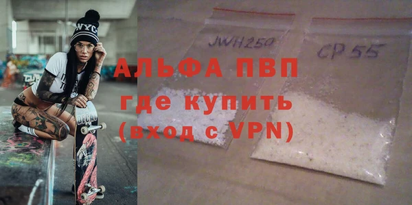 дурь Няндома