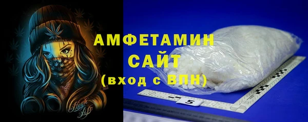 дурь Няндома