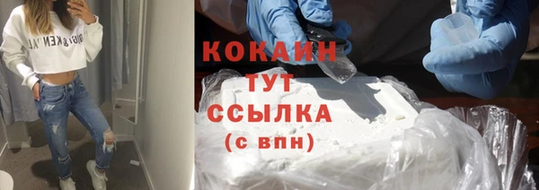 дурь Новодвинск