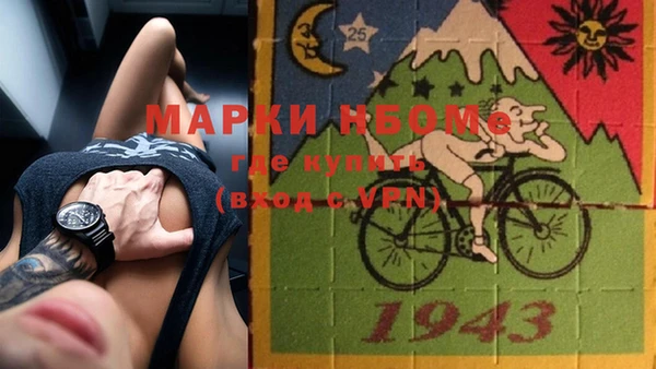 дурь Новодвинск
