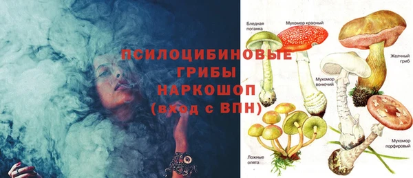 дурь Новодвинск