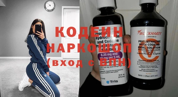 дурь Няндома
