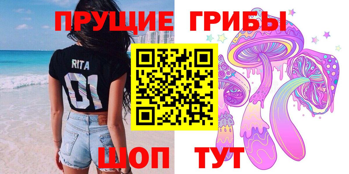 Псилоцибиновые грибы прущие грибы Новокубанск