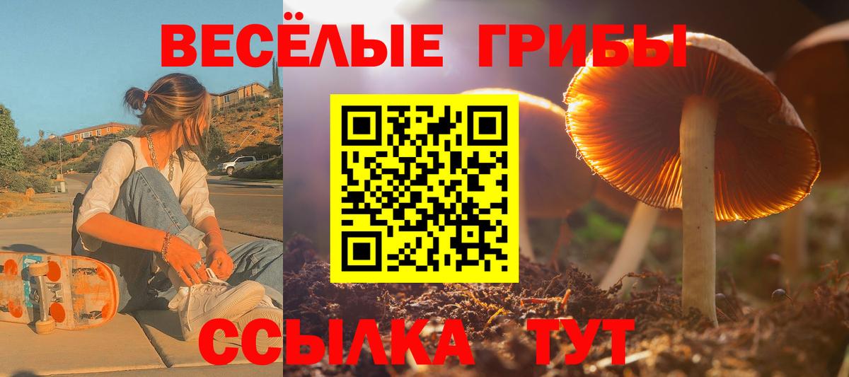 Псилоцибиновые грибы Cubensis  Вход с VPN  Новокубанск 